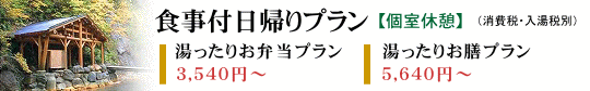 夏油温泉食事付日帰りプラン